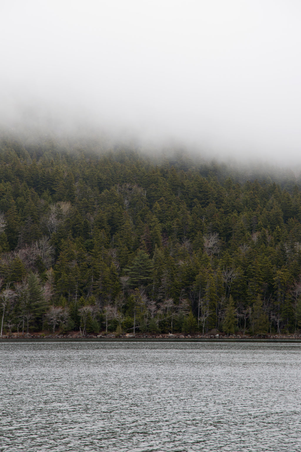 Foggy Lakeside
