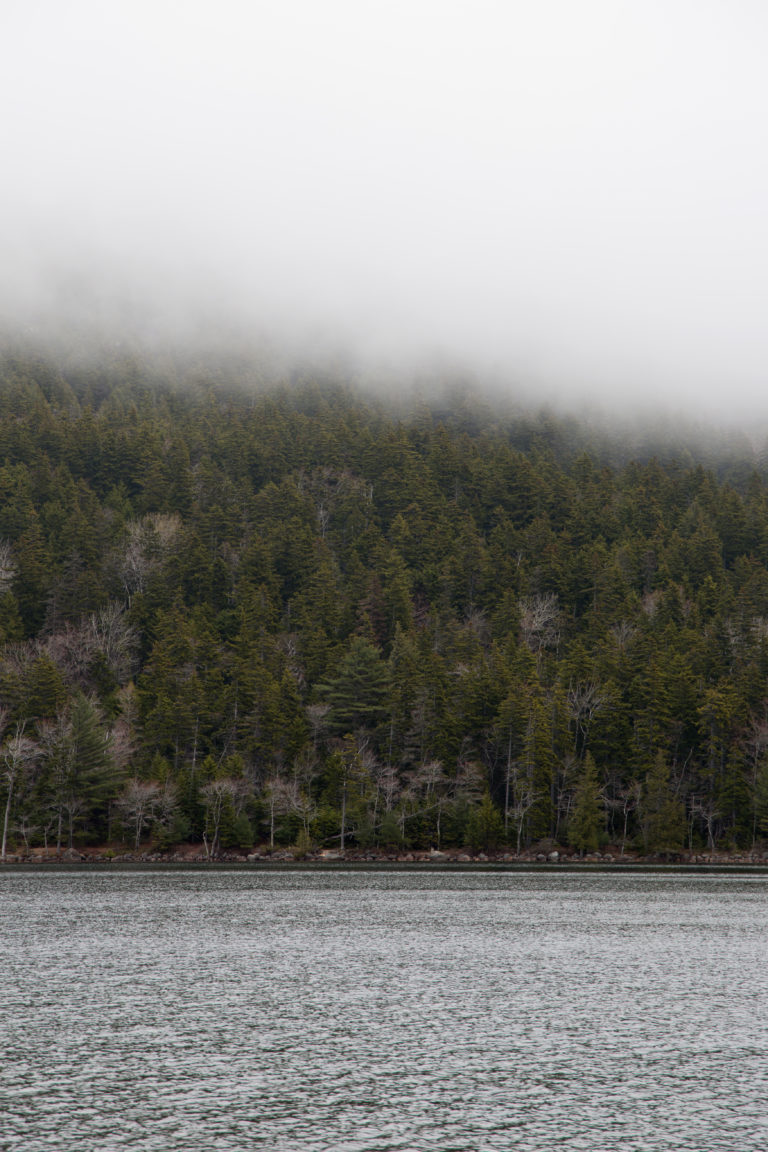 Foggy Lakeside