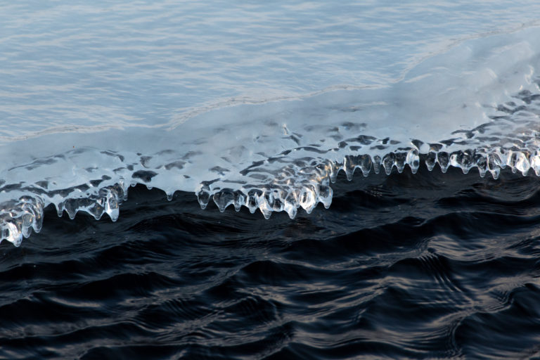 Ice on Water’s Edge