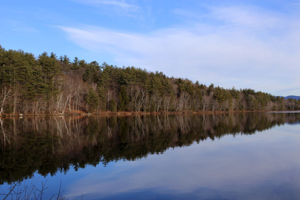 Long Lake Reflections