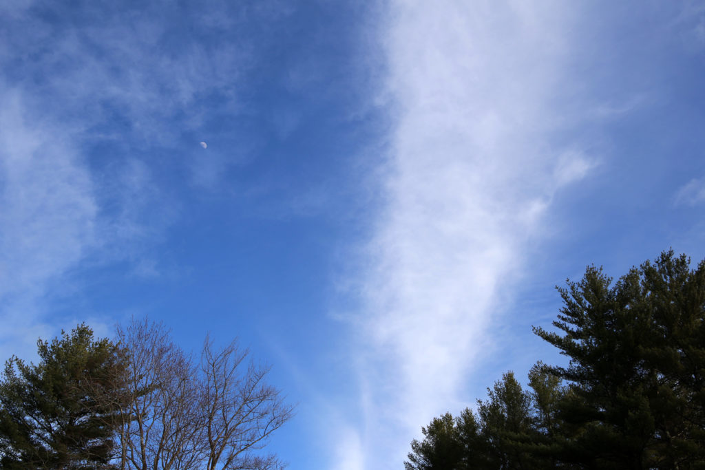 Long Cloud in the Blue Sky
