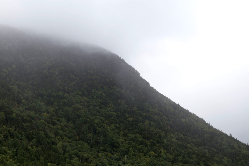 Fog Descending on the Mountainside
