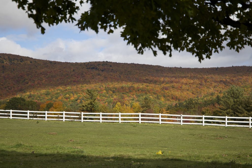 Fall Foliage at a Fenced In Field