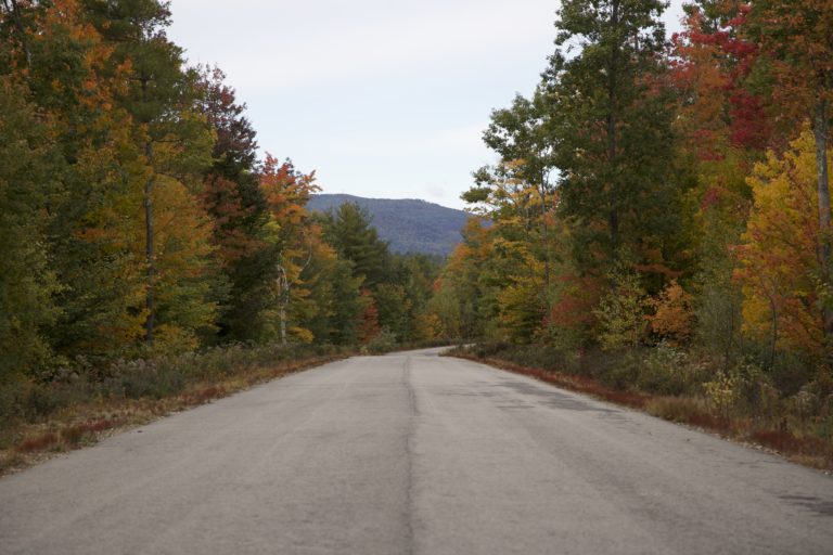 Rural Paved Road in the Fall