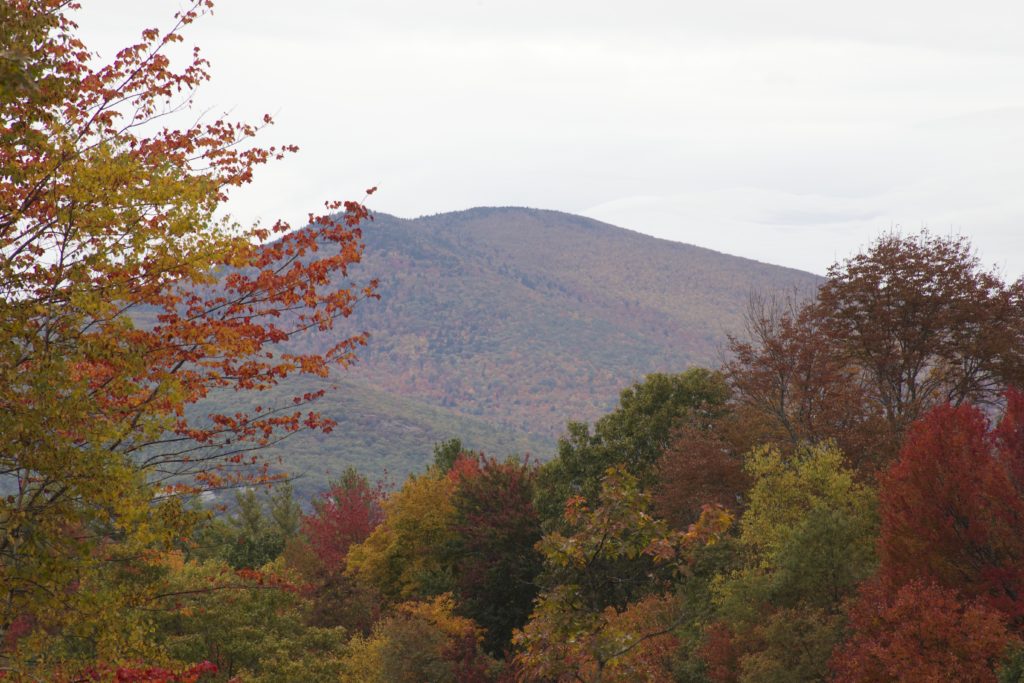 Mountain Top Past Autumn Trees