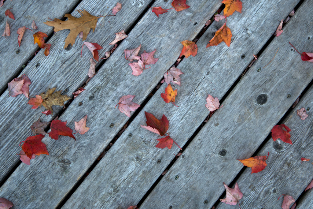 Fallen Leaves on Weathered Deck