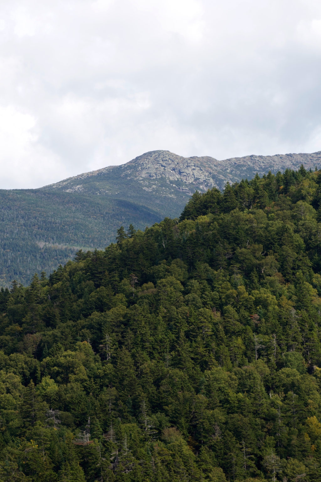 Rocky-Topped Mountain in the Distance