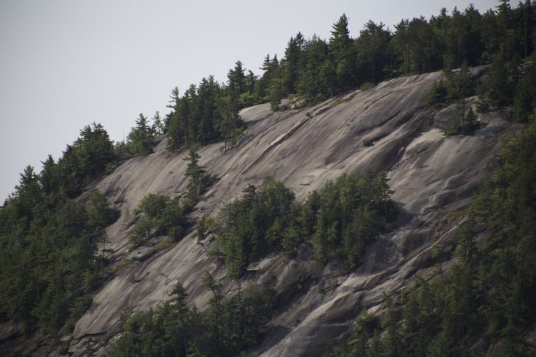 Trees Growing on Rocky Hillside