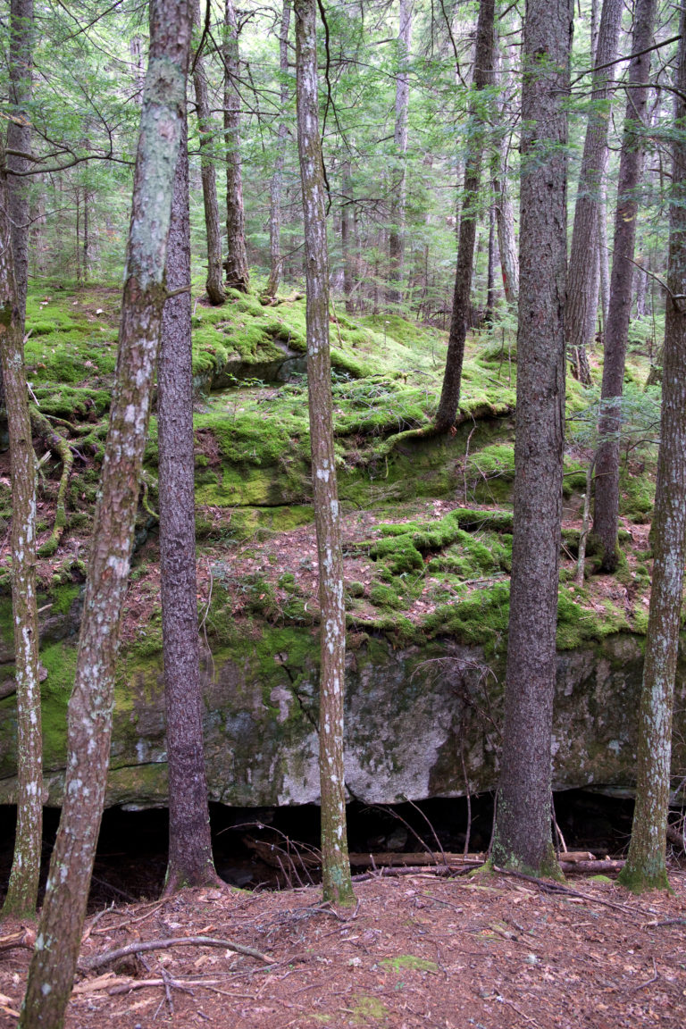 Mossy Glacial Boulders