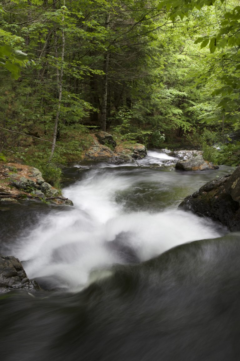 Rushing River in Summer