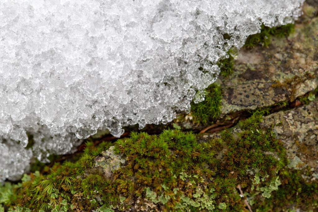 Snow on Mossy Rock