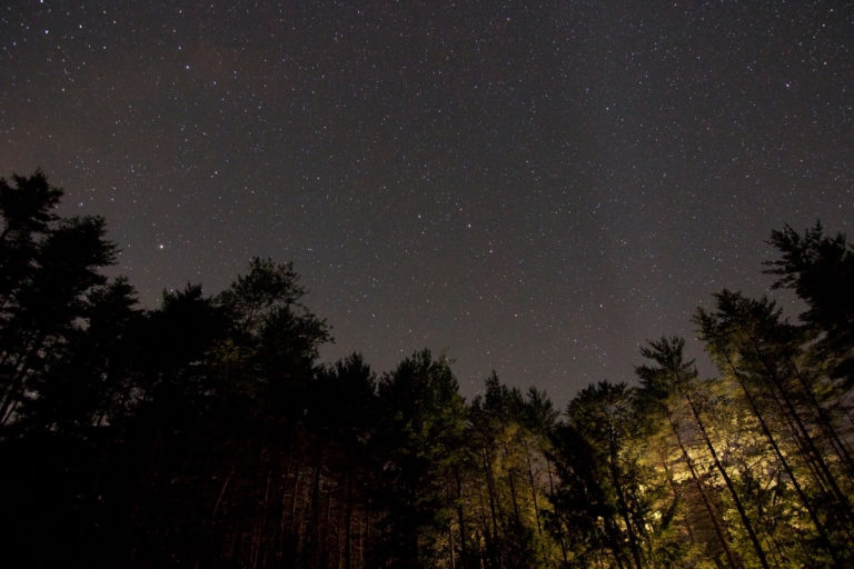 Dark Starry Sky and Trees