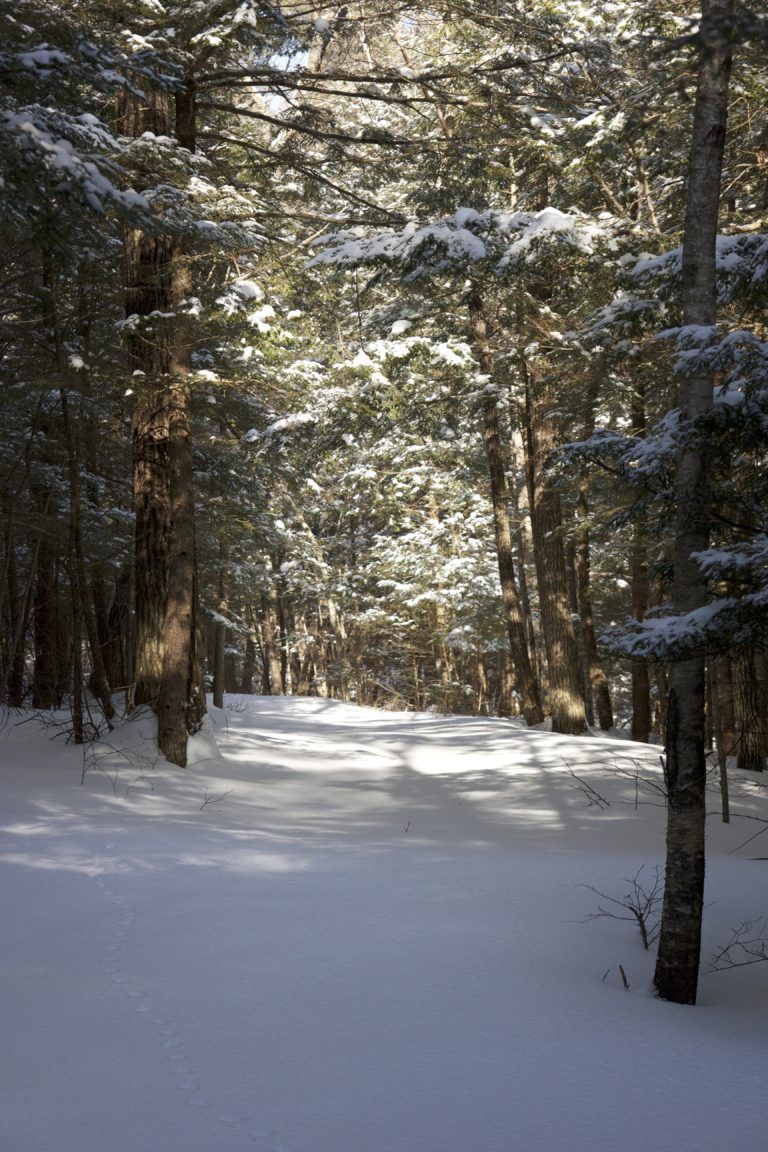 Winter Hiking Path