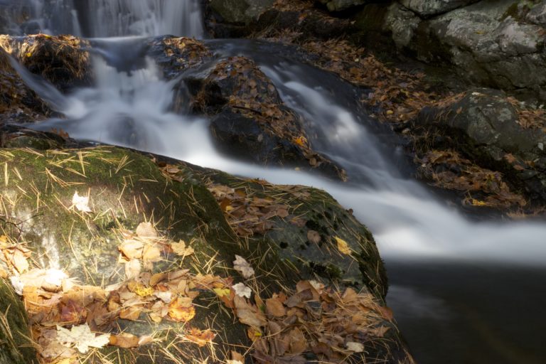 Running Water Over Rocks and Leaves