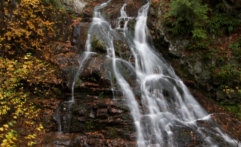 Stream Water and Fall Foliage