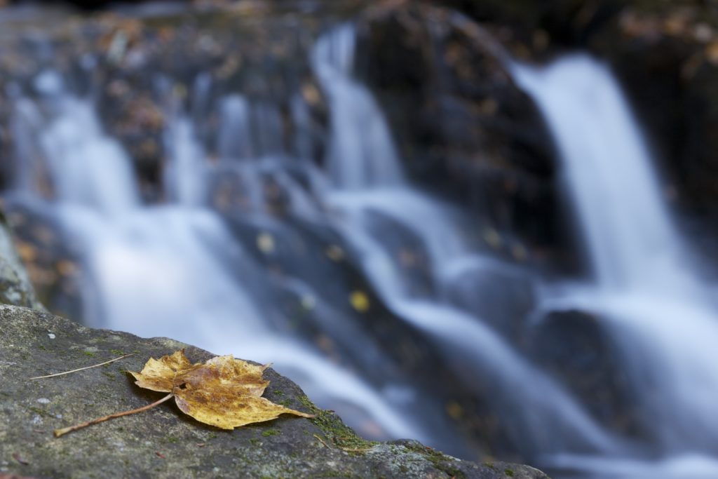 Fall Foliage and Flowing Water