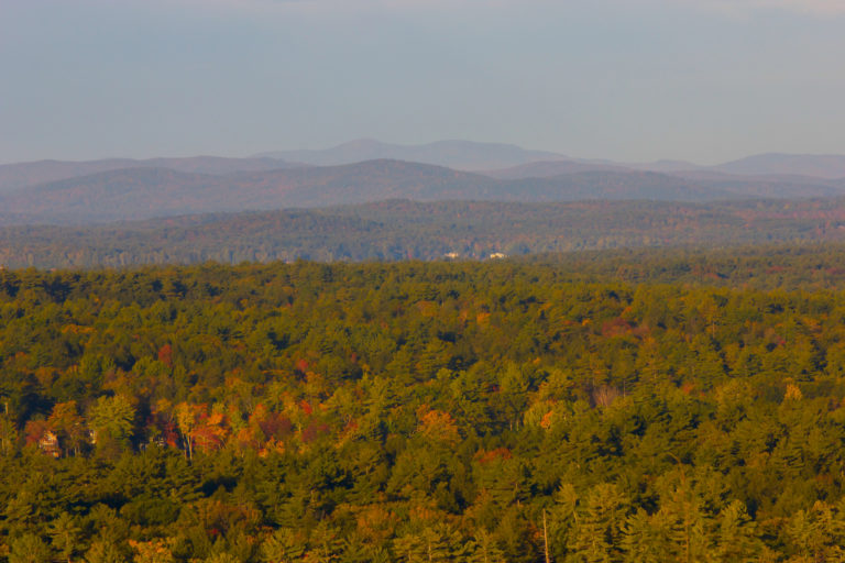 An Autumn Scene