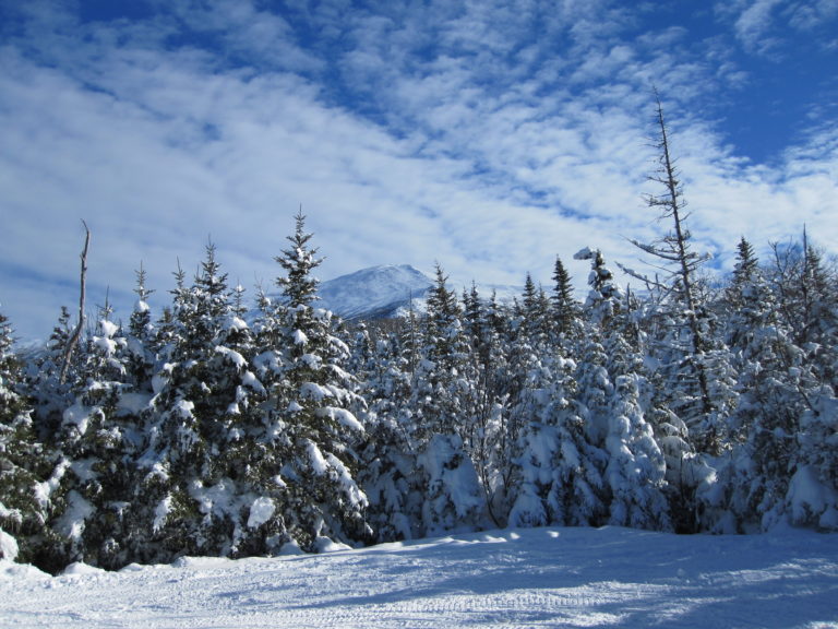 Picturesque Winter Scene