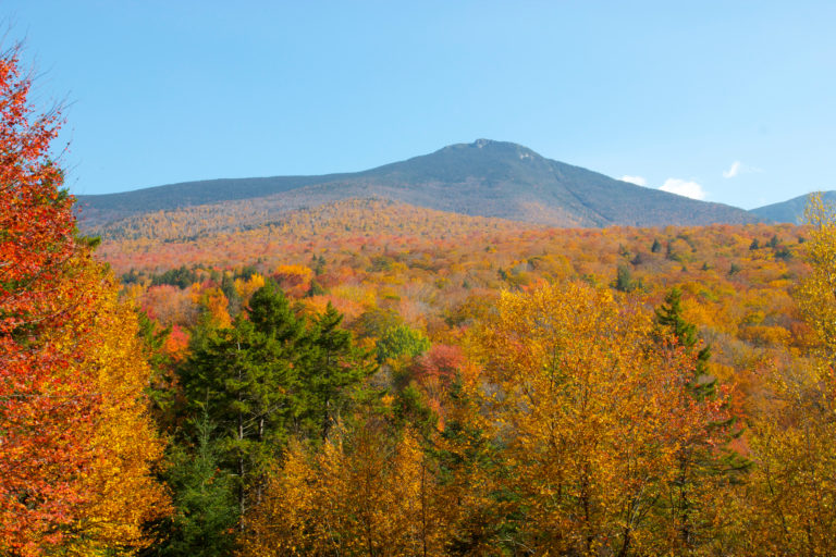 Fall Foliage Below Mountain