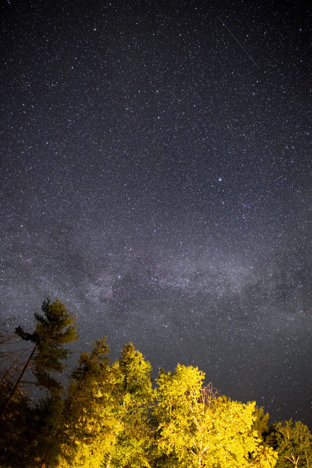 Milky Way With Bright Trees