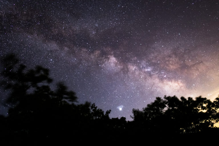 Milky Way Arching Over Trees