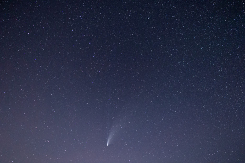 Comet Neowise Night Sky