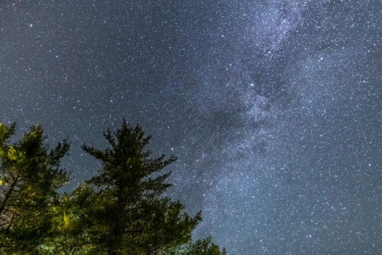 Milky Way Stars Crossing Trees