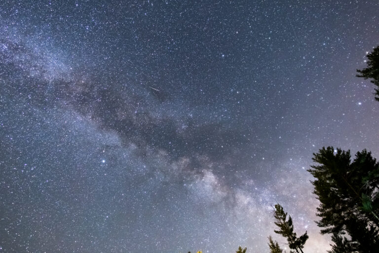Milky Way Galaxy Core and Trees