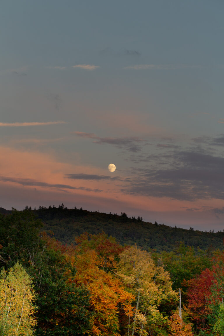 Moon Rising Over Autumn Trees