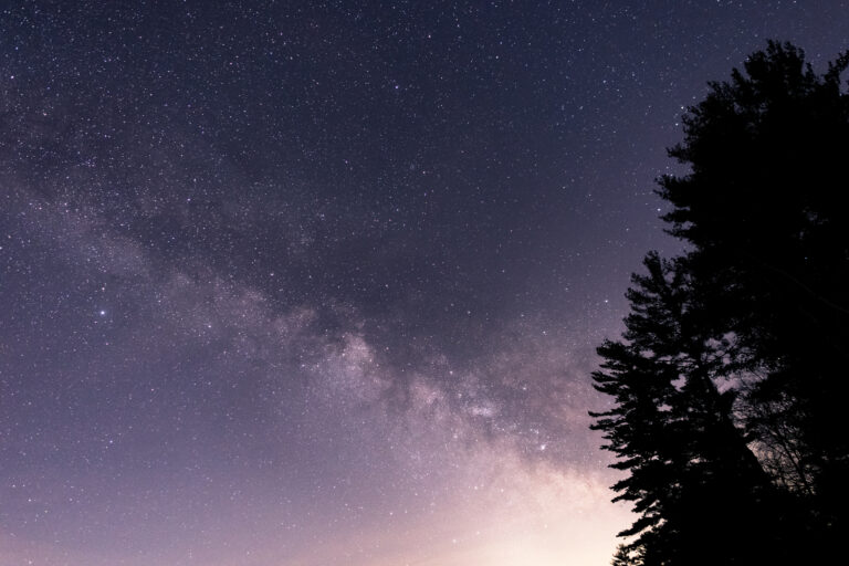 Milky Way Tree Silhouettes