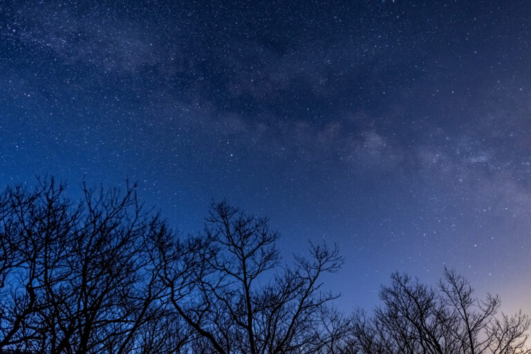 Blue Hour Milky Way Trees