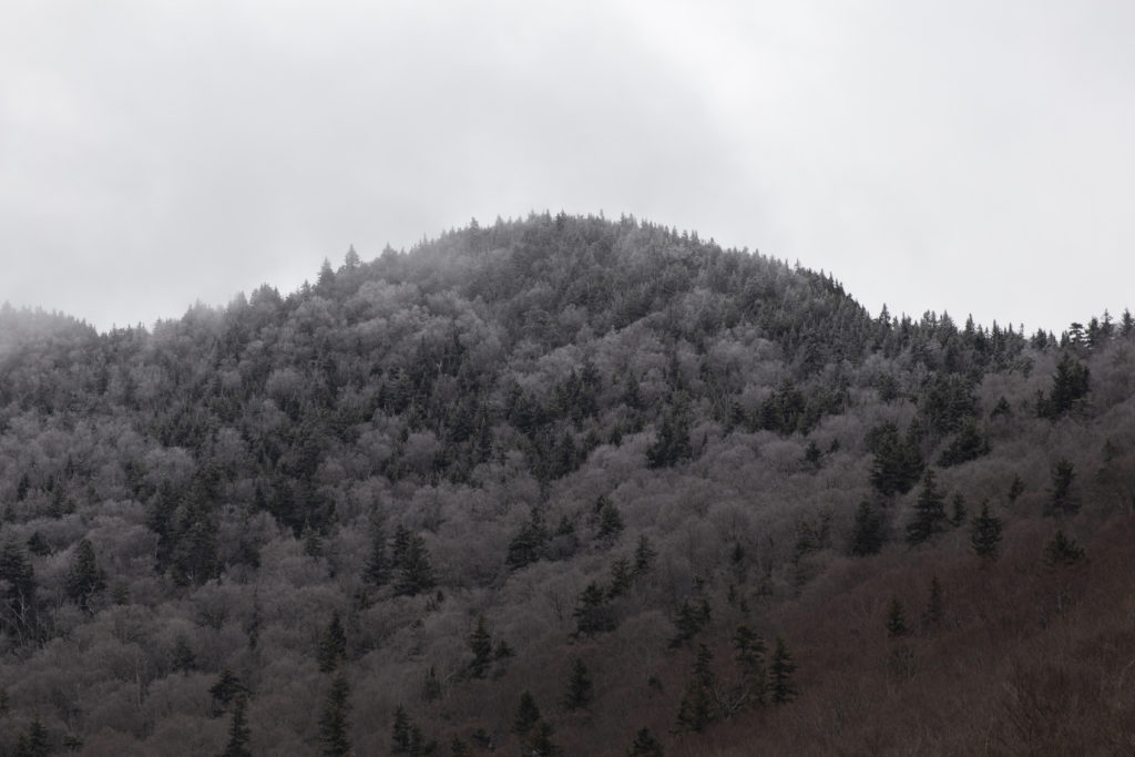 Grey Mountaintop