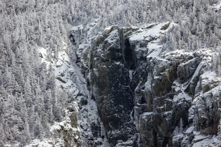Winter Forest Cliff