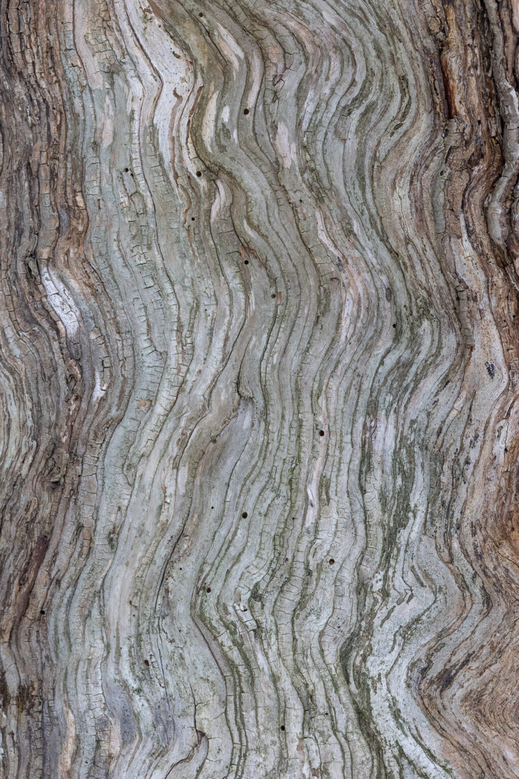 Wavy Woodgrain Texture