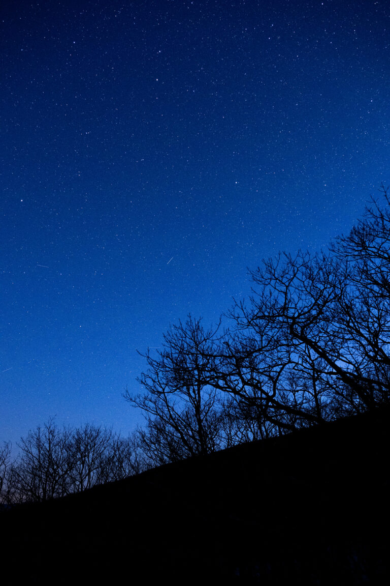 Starry Sky at Blue Hour
