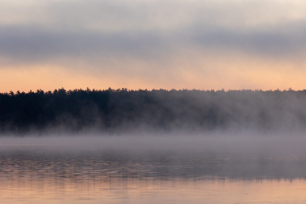 Brisk Morning Lake Fog