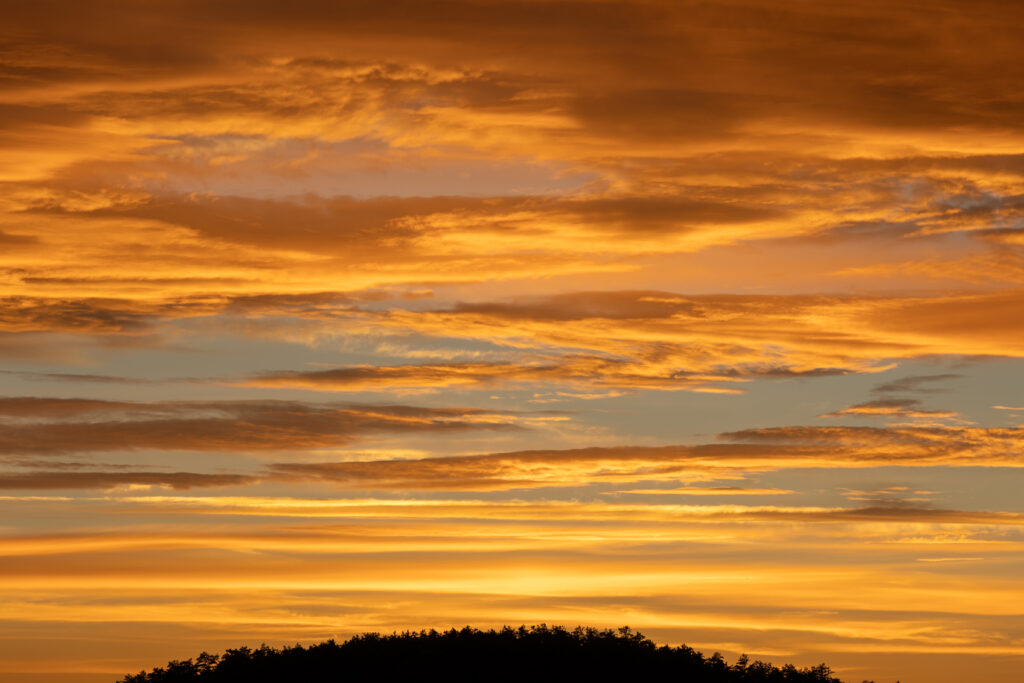 Sunset Clouds and Tree Silhouettes