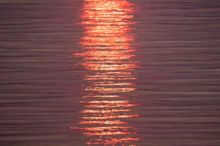 Summer Sunset Water