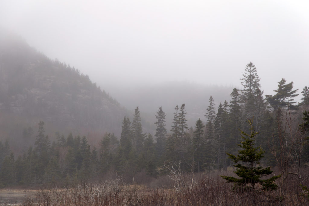 Foggy Mountain Valley