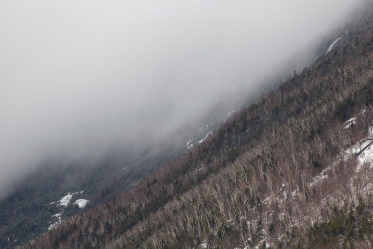 Foggy, Cold Mountainside