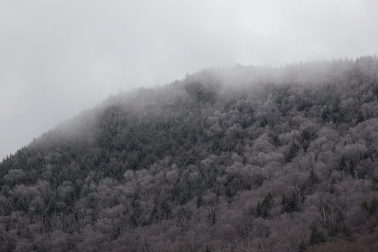 Frosted Hill in Fog