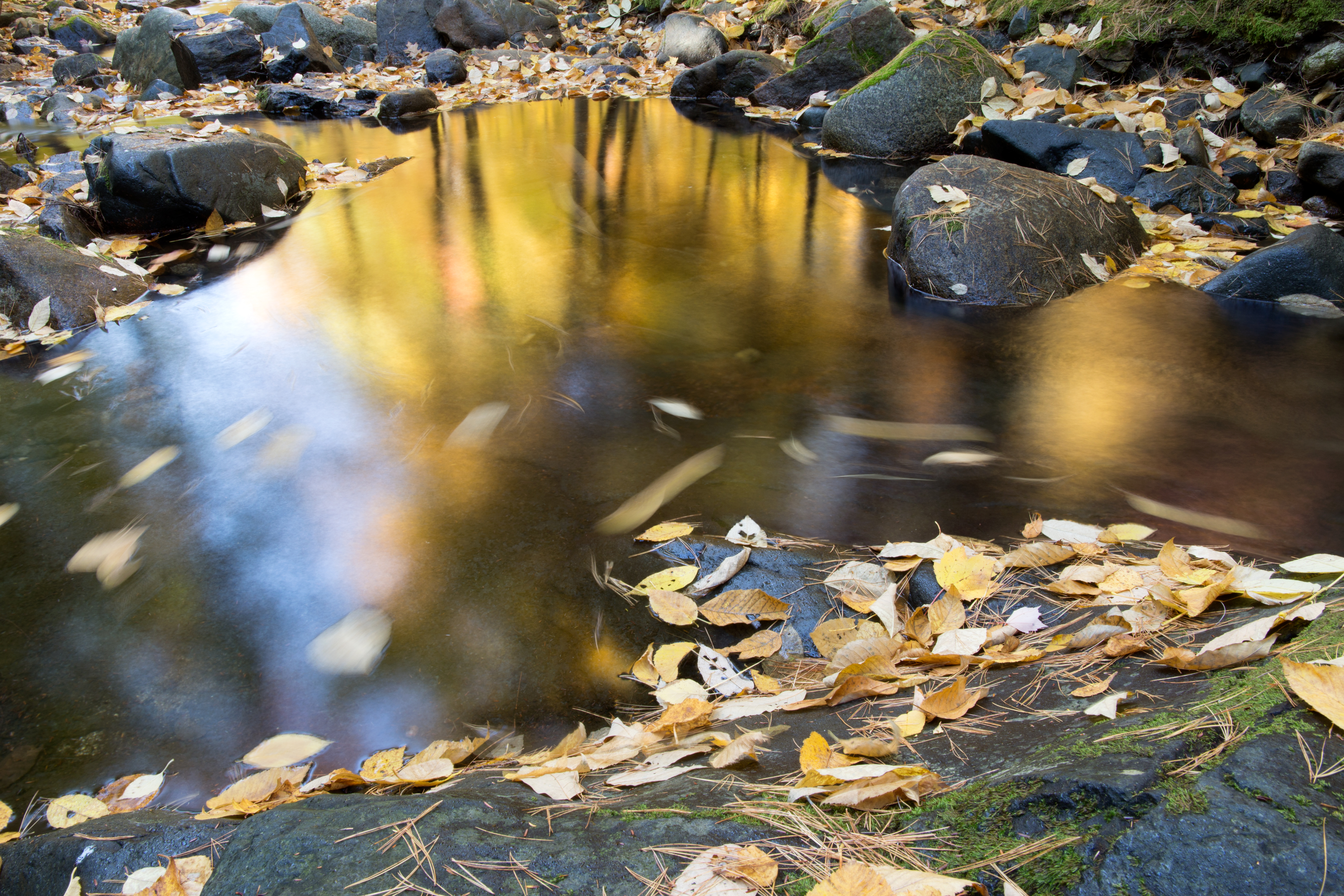 Вода в реке стала быстро прибывать. Осень вода. Осень отражение в воде. Осенняя вода в речке. Речка с отражением.