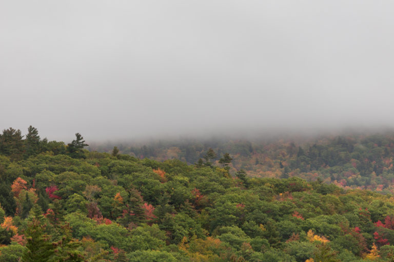 Foggy Early Fall Landscape