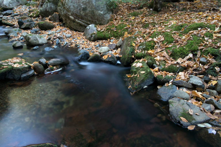 Peaceful Fall Stream