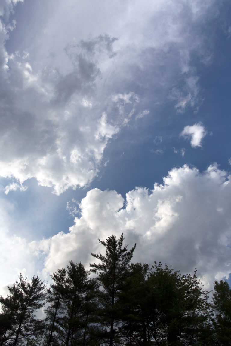 Looking Up at a Beautiful Day