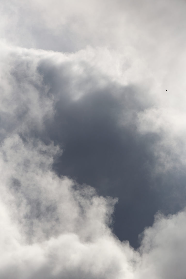 Tiny Bird in the Clouds
