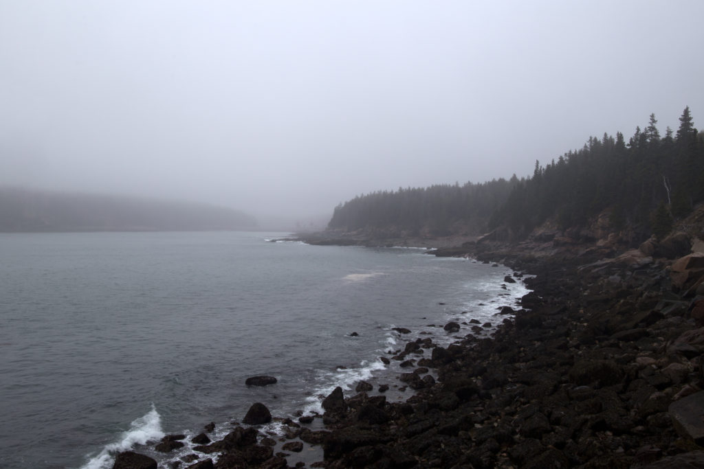 Foggy Rocky Coastline