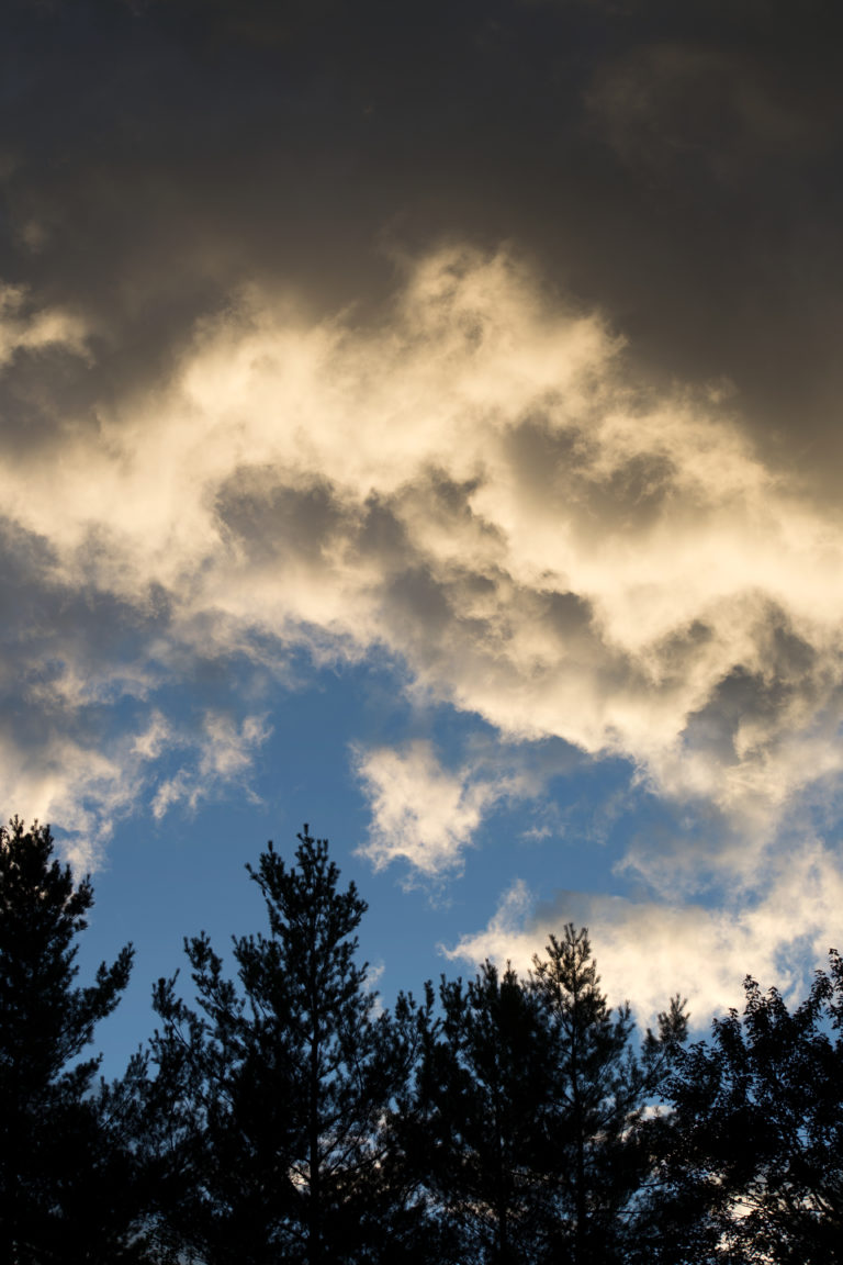 Soft Clouds Over Tree Silhouettes