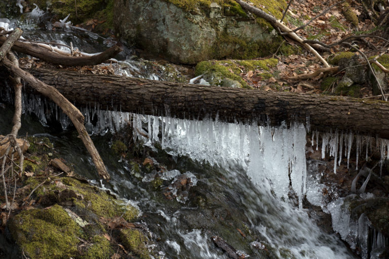 Icy Water Drips in the Woods
