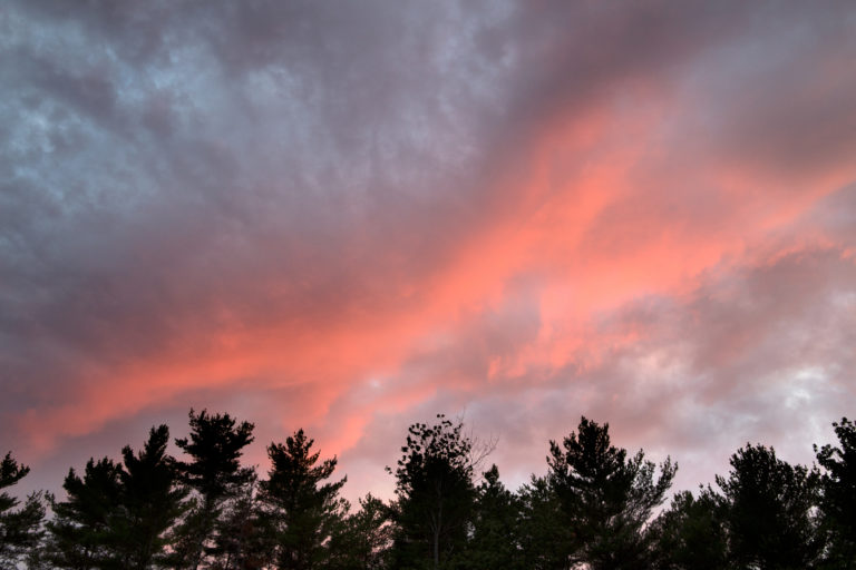 Soft Orange Clouds